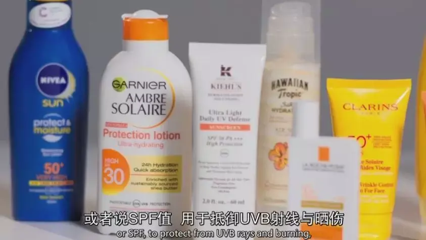 美丽广东,志愿有我——志愿者进社区开展环保活动