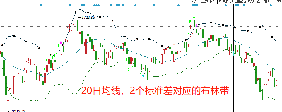 首批美丽广东生态文旅线路名单公布  湛江有1条线路榜上有名